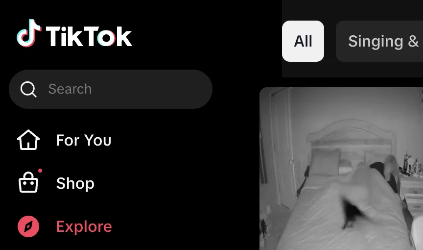 Explore section on TikTok