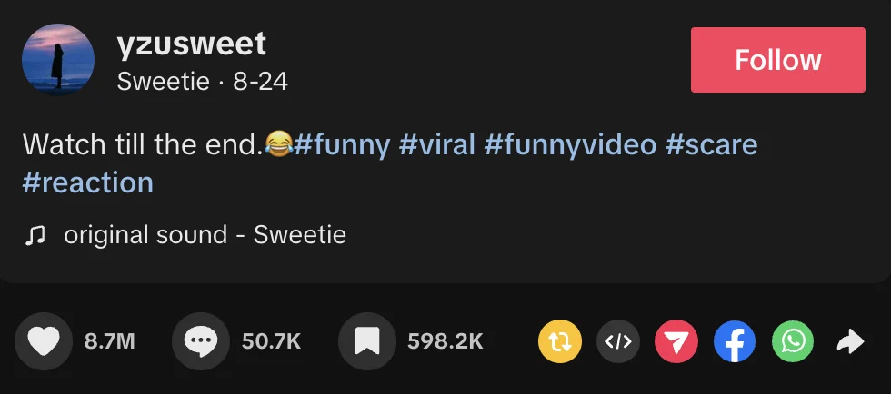 Mixing Popular and Niche Hashtags