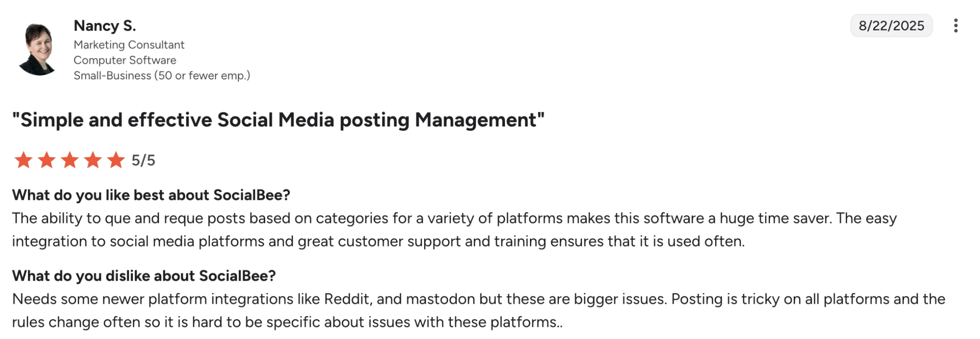 SocialBee: Simple and effective social media posting management